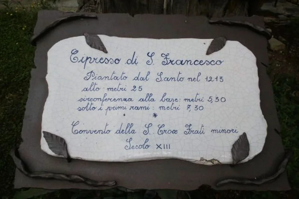 The plaque of St. Francis's cypress tree